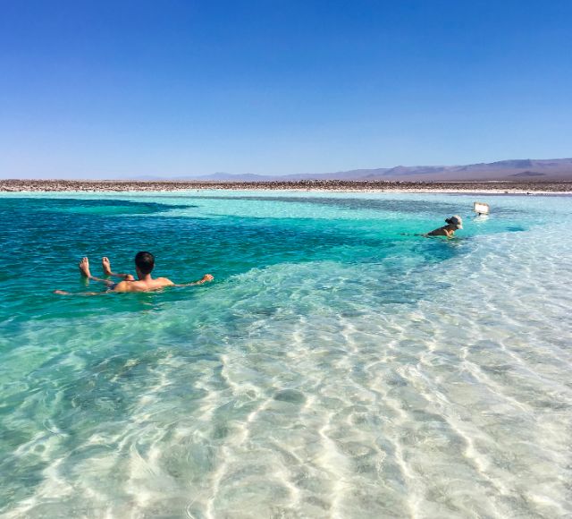 Untitled design - 2025-04-05T134723.348